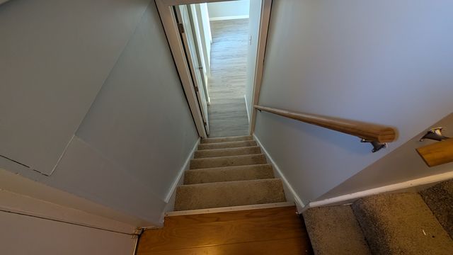 PXL_20250129_154446456