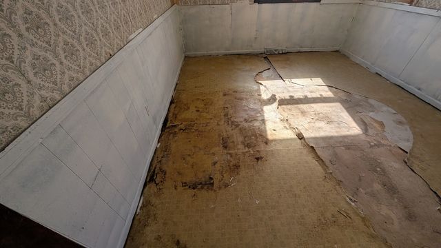 PXL_20250219_182608528