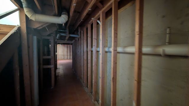 PXL_20250220_183419914