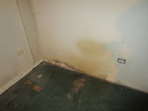 photo24 (6)