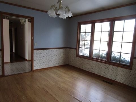 photo6 (17)