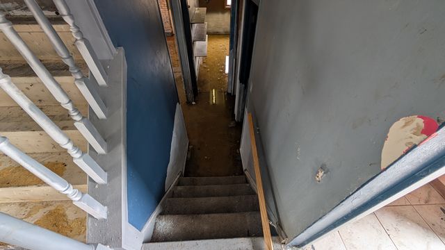 PXL_20250305_143648652