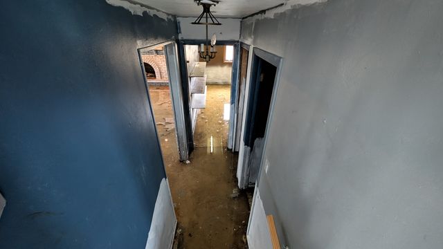 PXL_20250305_143654053