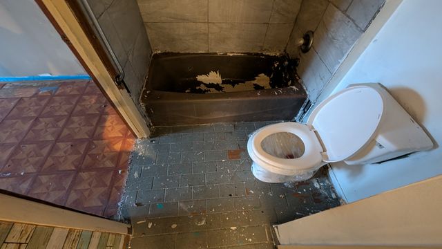 PXL_20250305_143724503