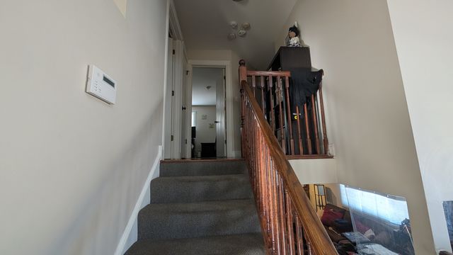 PXL_20250306_153223605