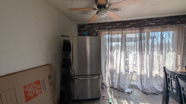 PXL_20250311_171611259