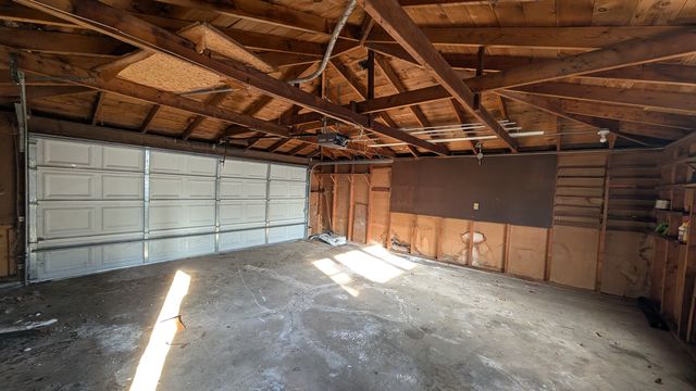 PXL_20250312_135838312