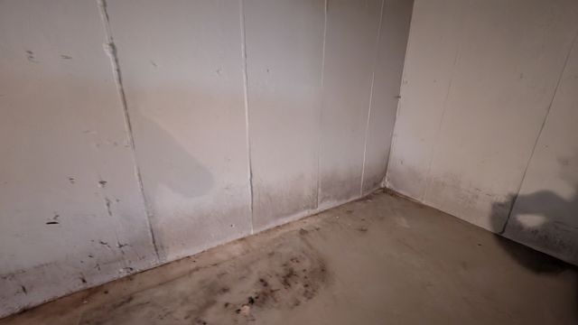 PXL_20250324_173645094