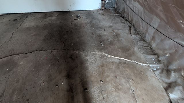 PXL_20250328_173959622