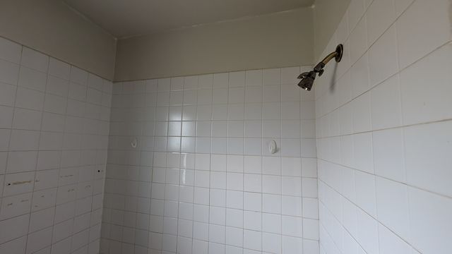 PXL_20250403_173823732