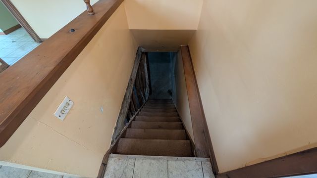 PXL_20250403_173859633