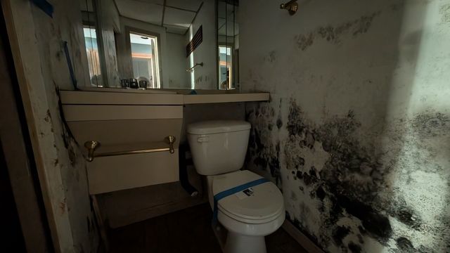 PXL_20250407_143855552