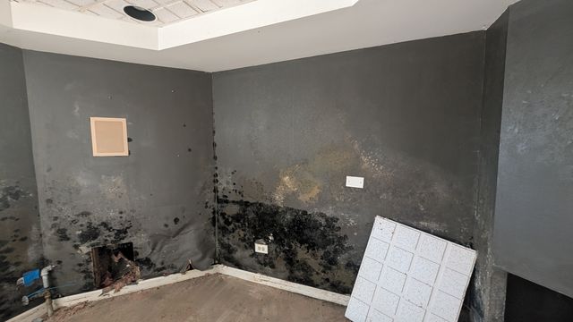 PXL_20250407_143931507