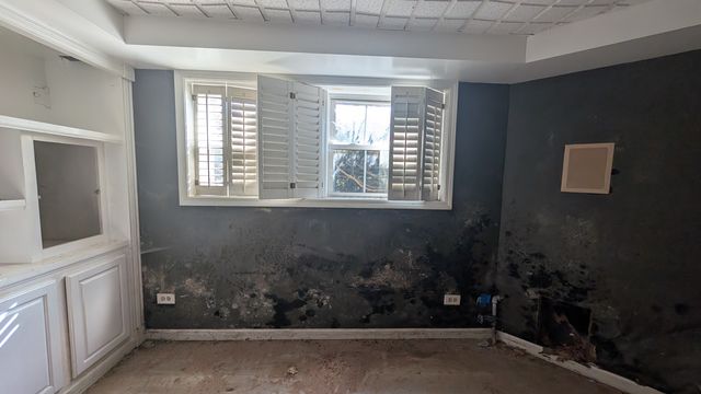 PXL_20250407_143933992