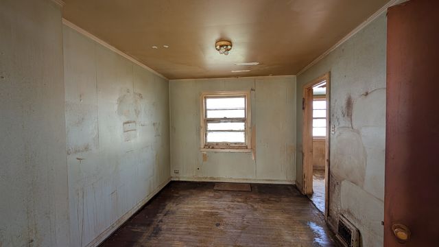 PXL_20250430_145543193