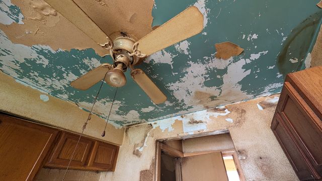 PXL_20250430_145604425