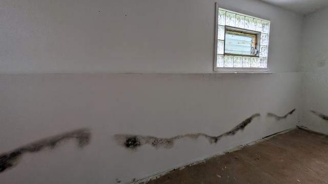 PXL_20250520_160041158