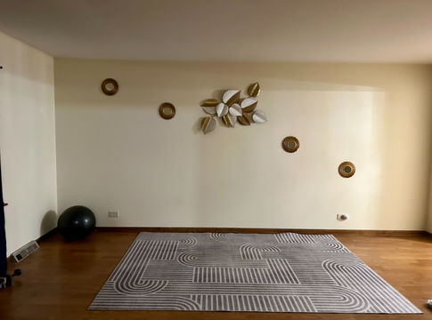 HD_1749100822467_IMG_1321