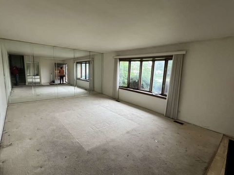 HD_1750213643967_IMG_8892