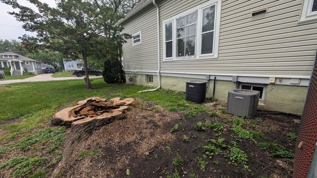 PXL_20250605_171800334