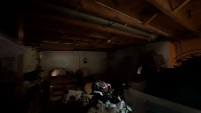 PXL_20250623_150559377