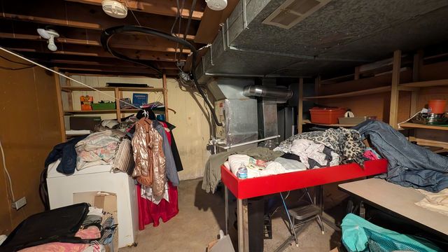 PXL_20250623_150611284