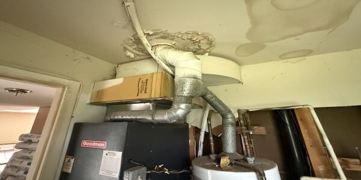 Photo Jun 13 2025, 12 03 46 PM