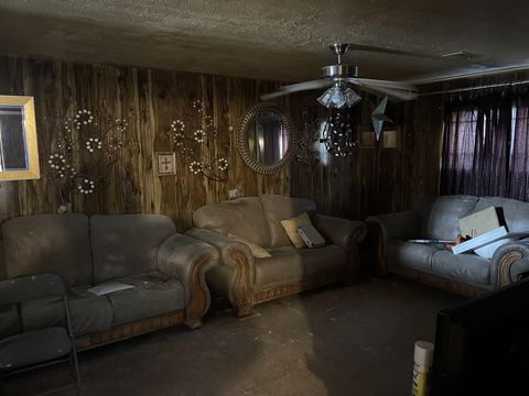 HD_1744333341025_IMG_2555