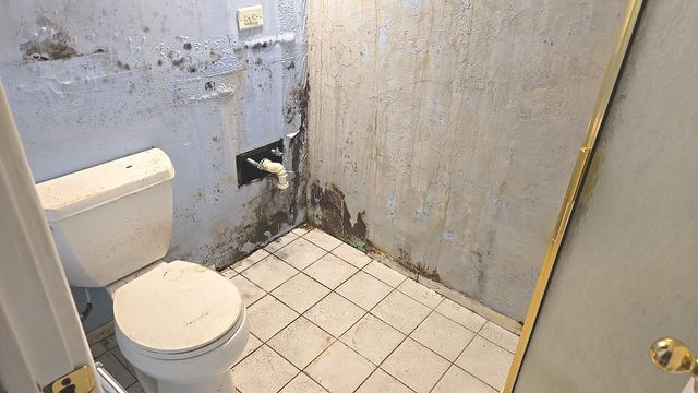 HD_1749053304520_stamp_20250529_152834