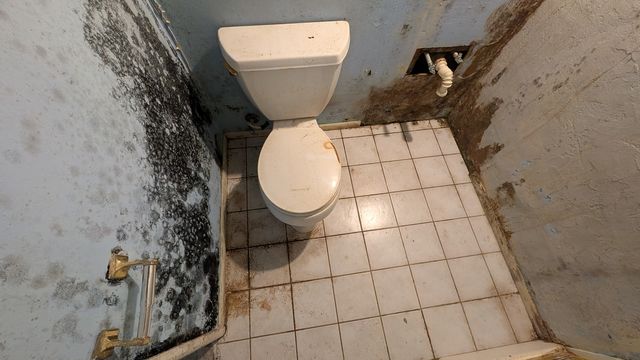 PXL_20250703_152417267