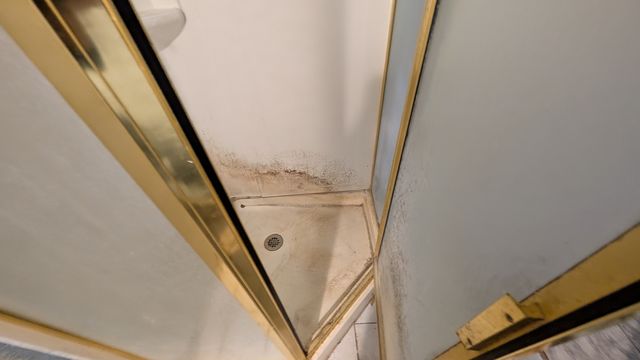 PXL_20250703_152423718