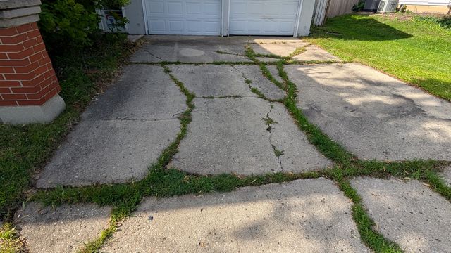 PXL_20250718_135556164