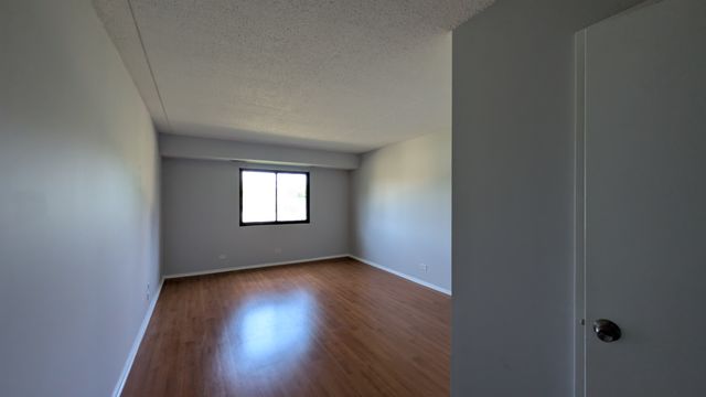 PXL_20250718_183438526