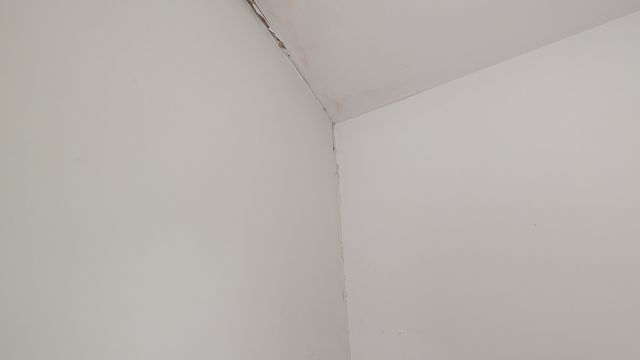 PXL_20250721_161132400