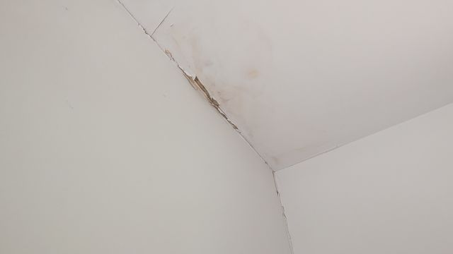 PXL_20250721_161133382