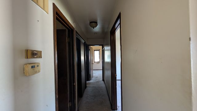 PXL_20250723_154306173