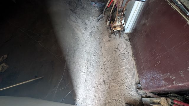 PXL_20250724_155018811