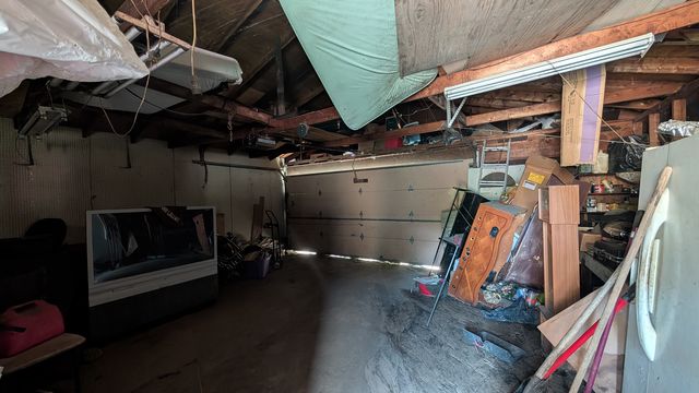 PXL_20250724_155021068