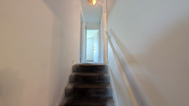 PXL_20250724_155210142