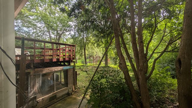 PXL_20250728_152609287