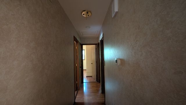 PXL_20250728_152940852