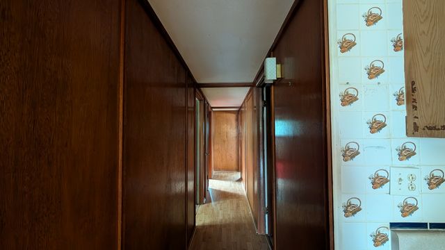 PXL_20250812_145922076.MP