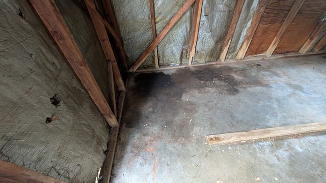 PXL_20250812_150832592