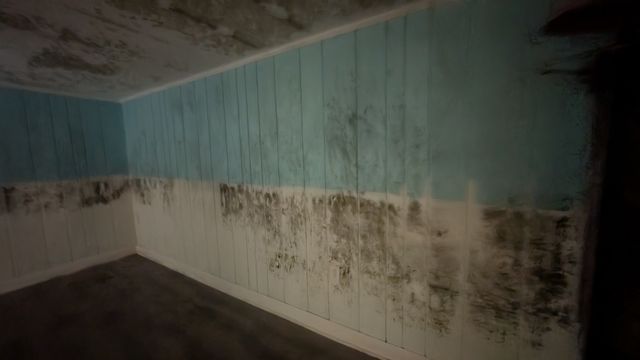 PXL_20250825_134245089