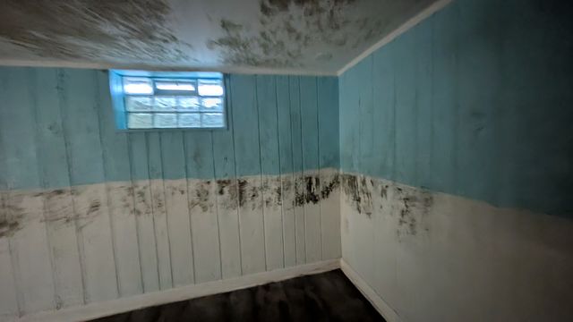 PXL_20250825_134247063