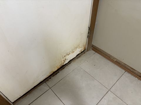 Photo Aug 26 2025, 11 18 26 AM