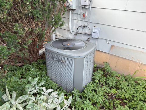 Photo Sep 05 2025, 9 47 45 AM