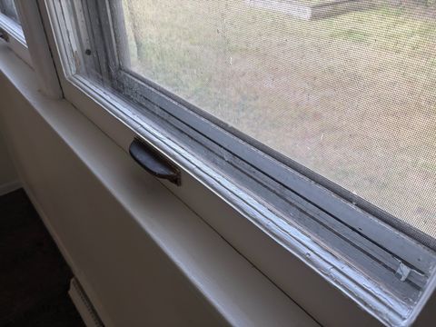 Photo Sep 10 2025, 10 04 26 AM