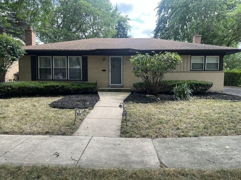 HD_1753467889033_IMG_1272