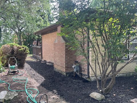 HD_1753467897982_IMG_1274